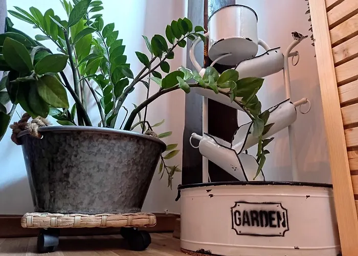 Urban Zen Den 2 ブカレスト