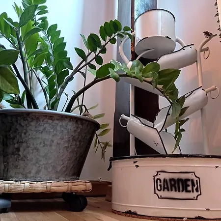 Urban Zen Den 2 Bucarest